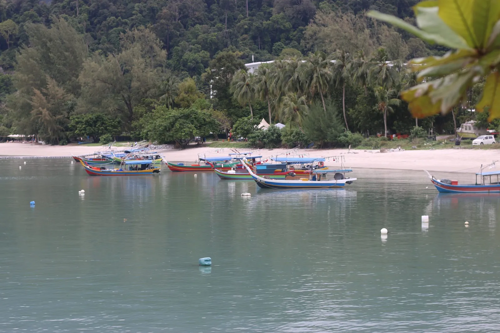 Small wooden fishing boats moored in a calm bay below forested hills